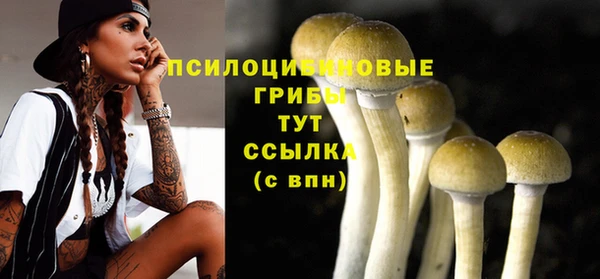 мяу мяу мука Аркадак